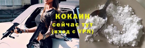 соль ск Медногорск