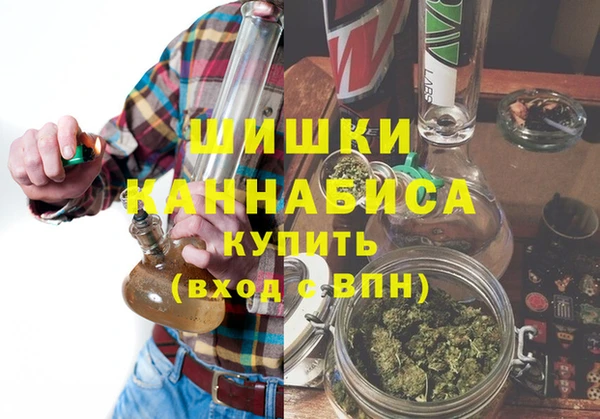 соль ск Медногорск