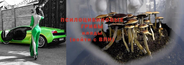 соль ск Медногорск