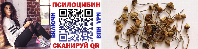 Псилоцибиновые грибы прущие грибы Новоржев